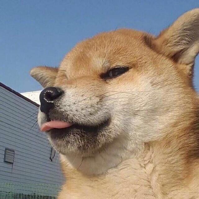 雄云丶