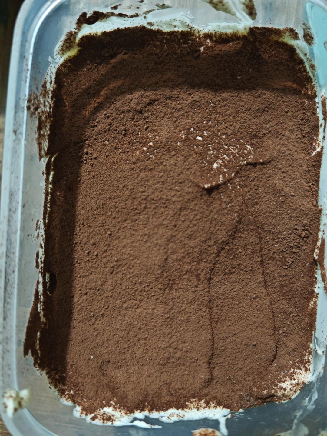 在欧洲学会的经典版提拉米苏