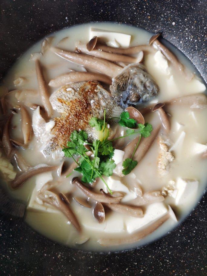 鲜美鲈鱼豆腐汤