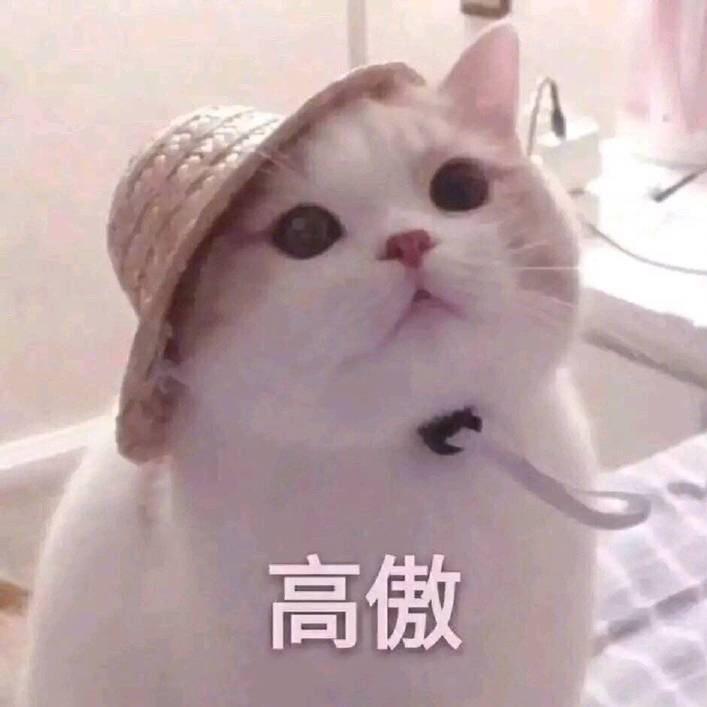 Qi仔