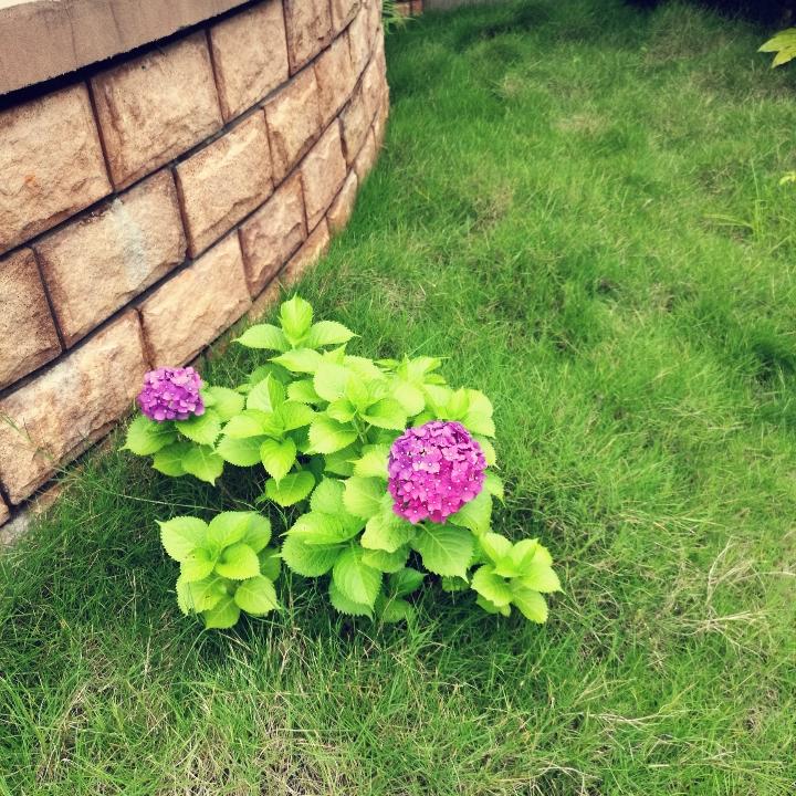 何处春江不月明