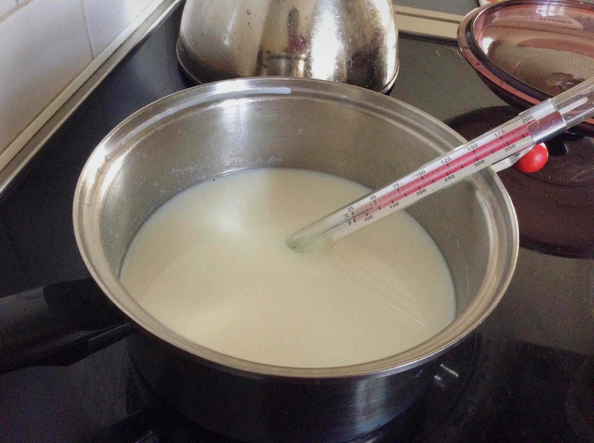 简单自制酸奶的做法 步骤4