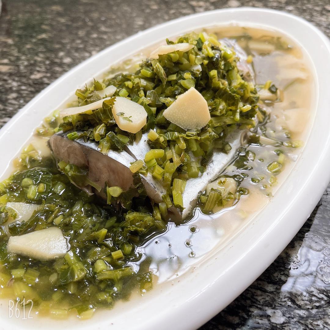 宁波春季新菜 青雪菜笋片烧川乌 雪菜烧马鲛鱼 鲅鱼