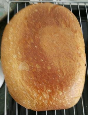基础面包，可单独发酵做花式面包的做法 步骤4