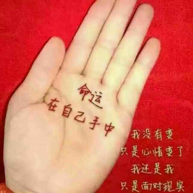 手机用户7152_87t9