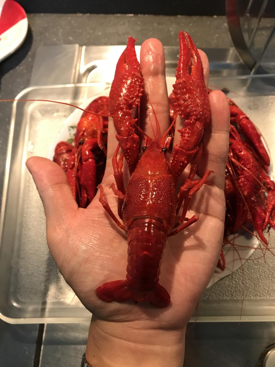 圈圈的秘密冰镇海鲜