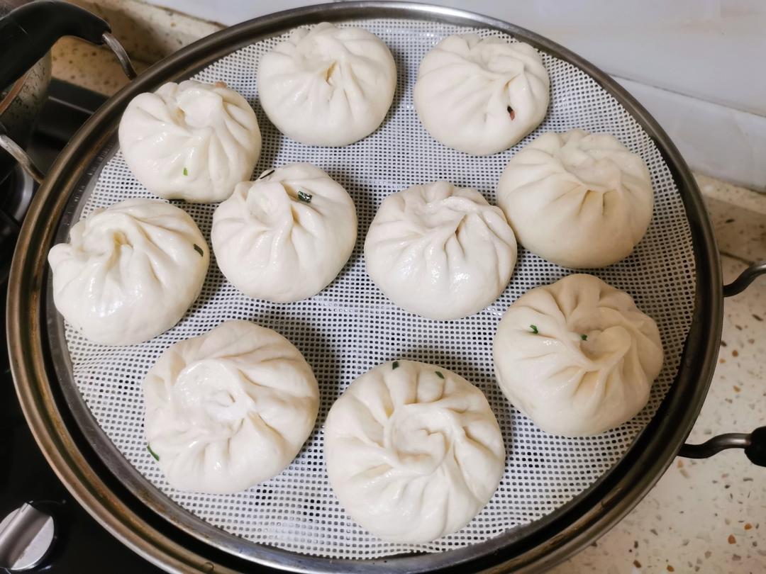 一次发酵肉包子