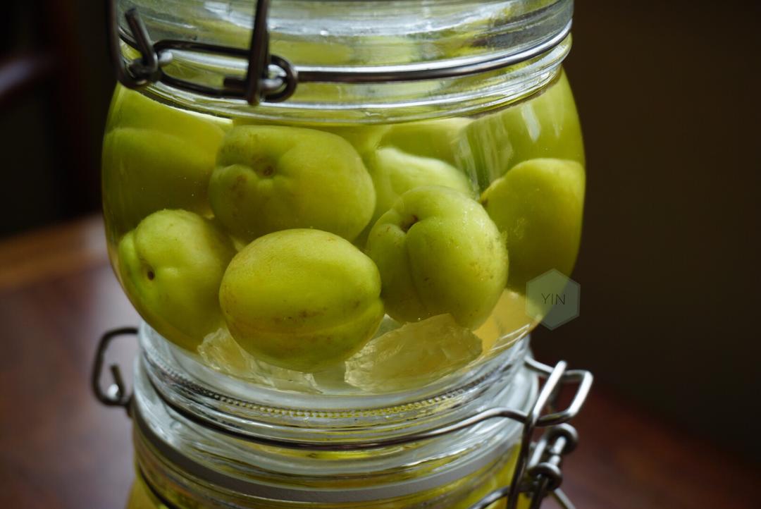 夏日必备 杏子酒的做法步骤图 怎么做好吃 殷殷殷殷殷 下厨房