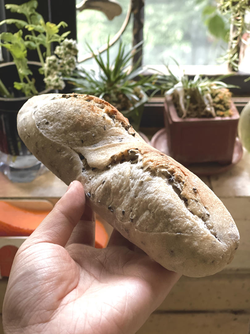 9升烤箱的食物探索
