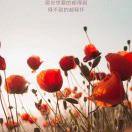 小白白2003