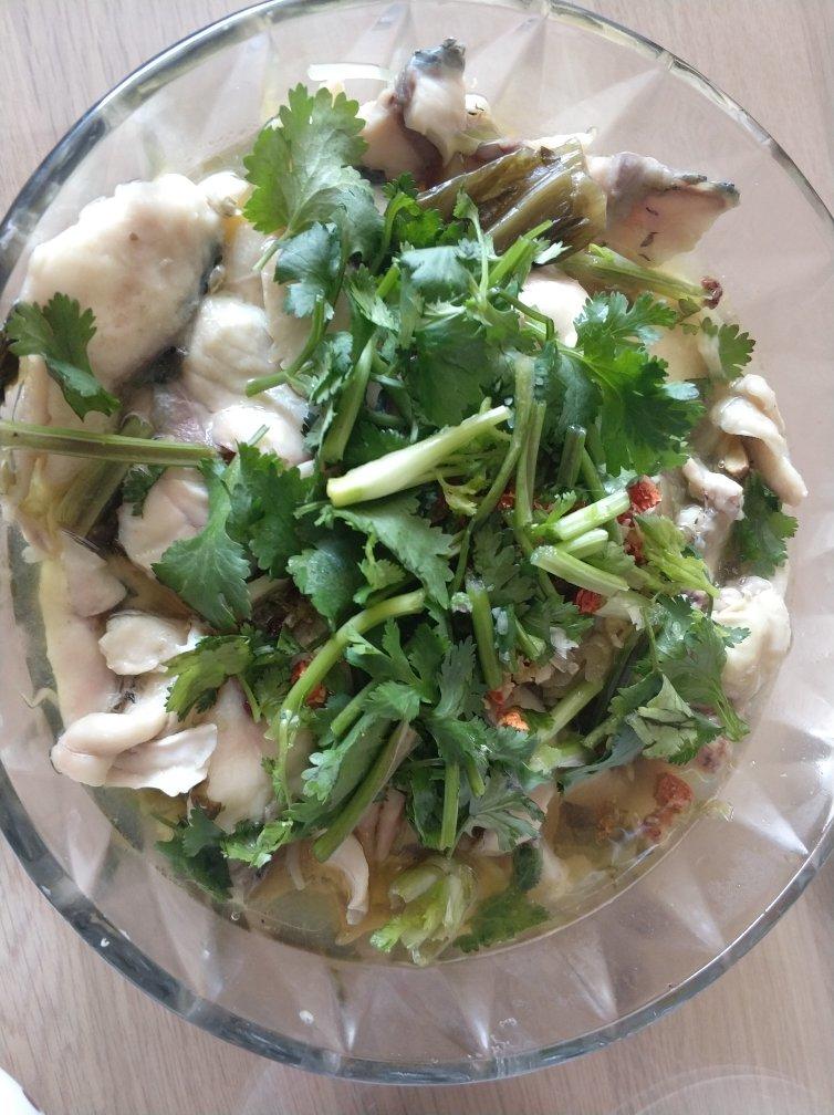 家常酸菜鱼
