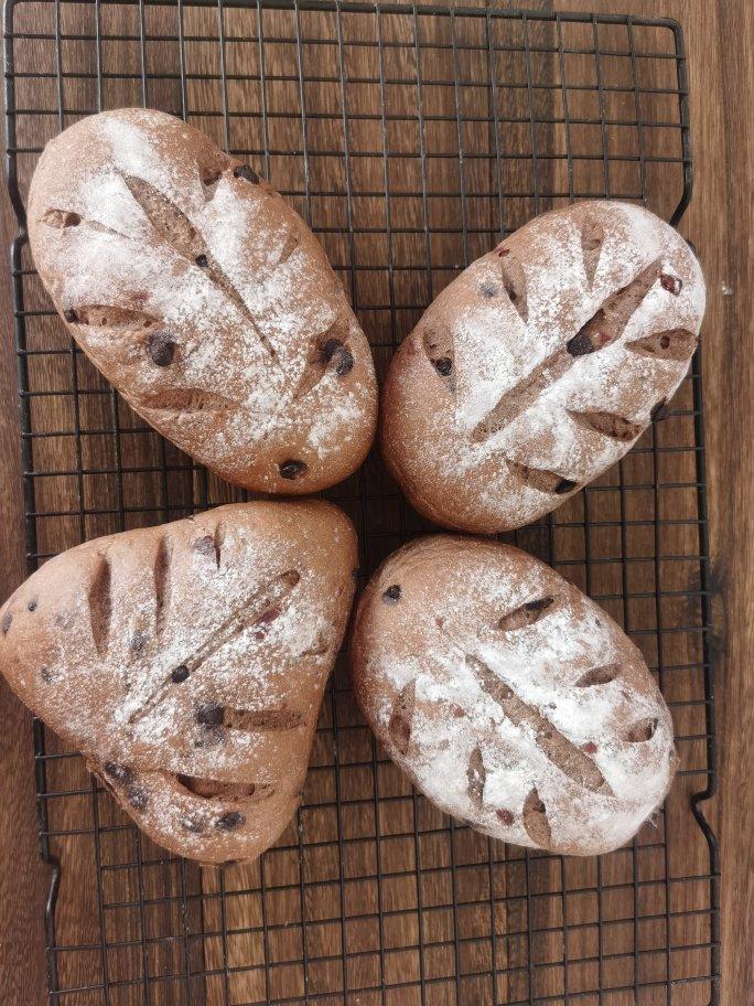 巧克力蔓越莓软欧 Rano Bread