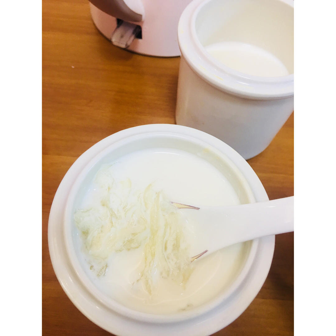 牛奶炖燕窝