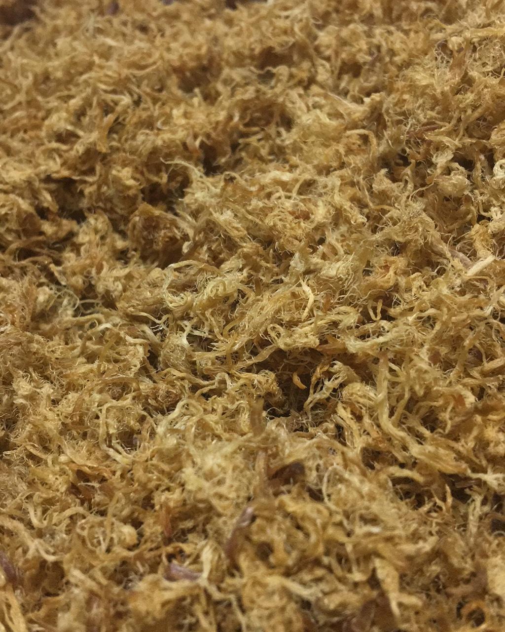 【青团课后福利】烤箱版自制牛肉松