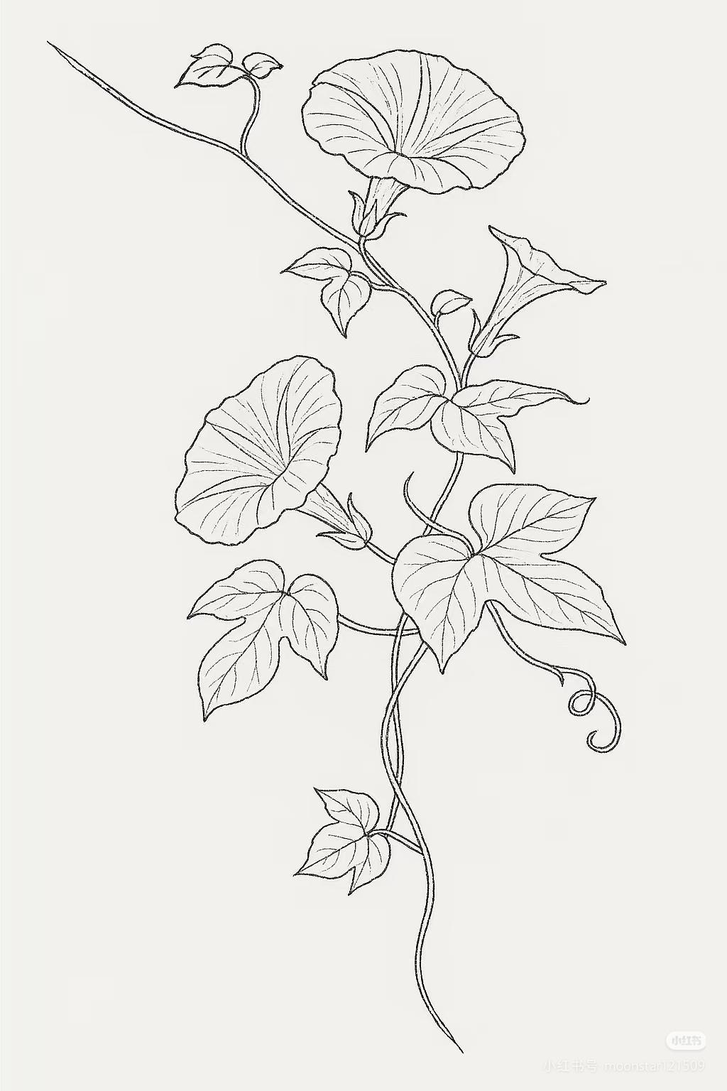 抹茶牛乳馅的做法