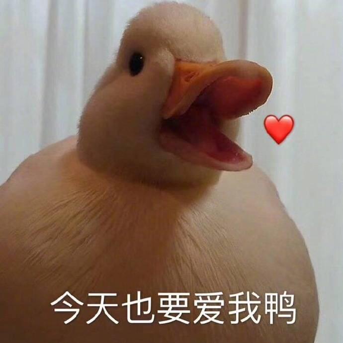 绝绝皮皮子