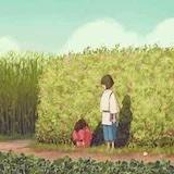 小玲儿哎