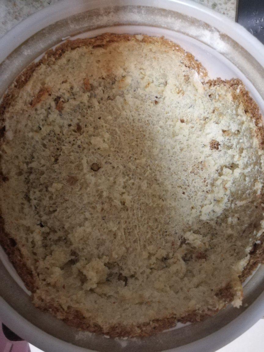 UKOEO高比克——全麦欧包