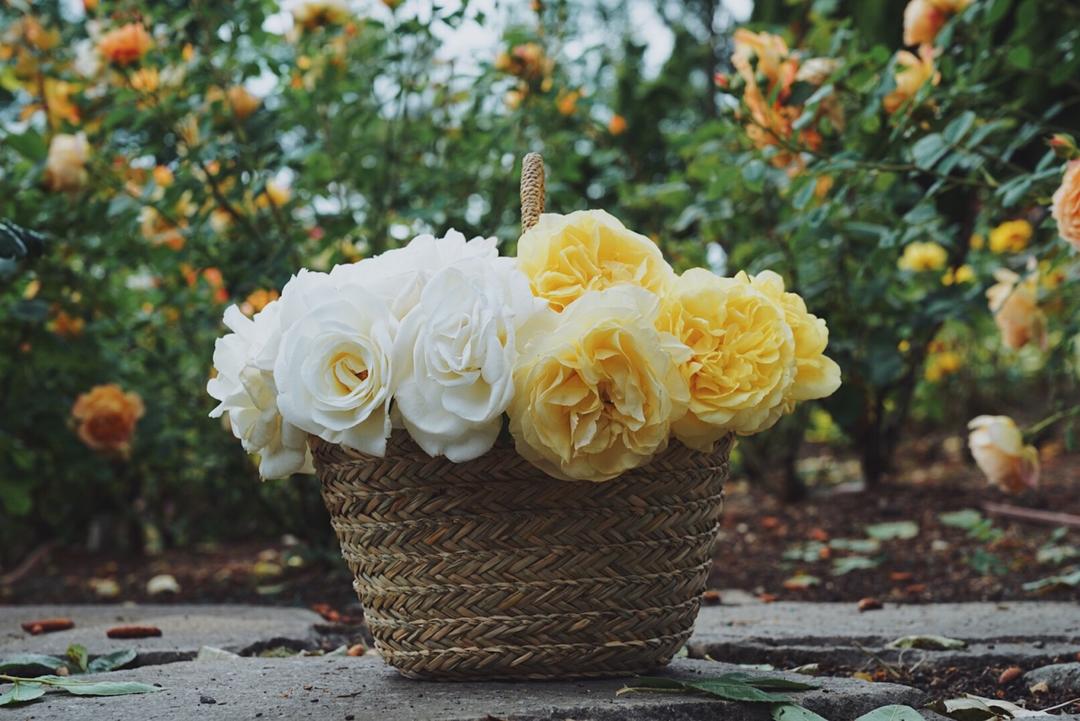 花花世界