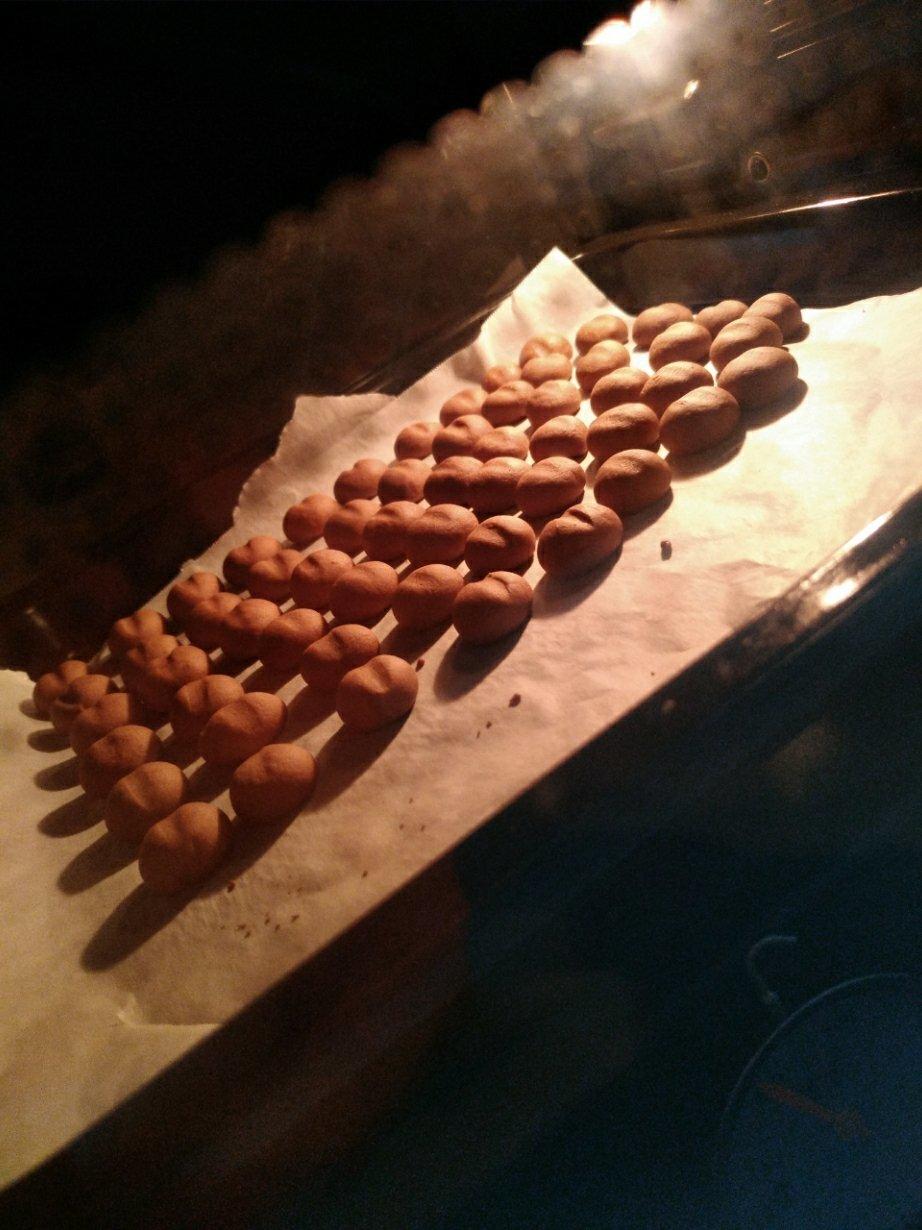 【咖啡豆豆饼干】简单的硬饼干