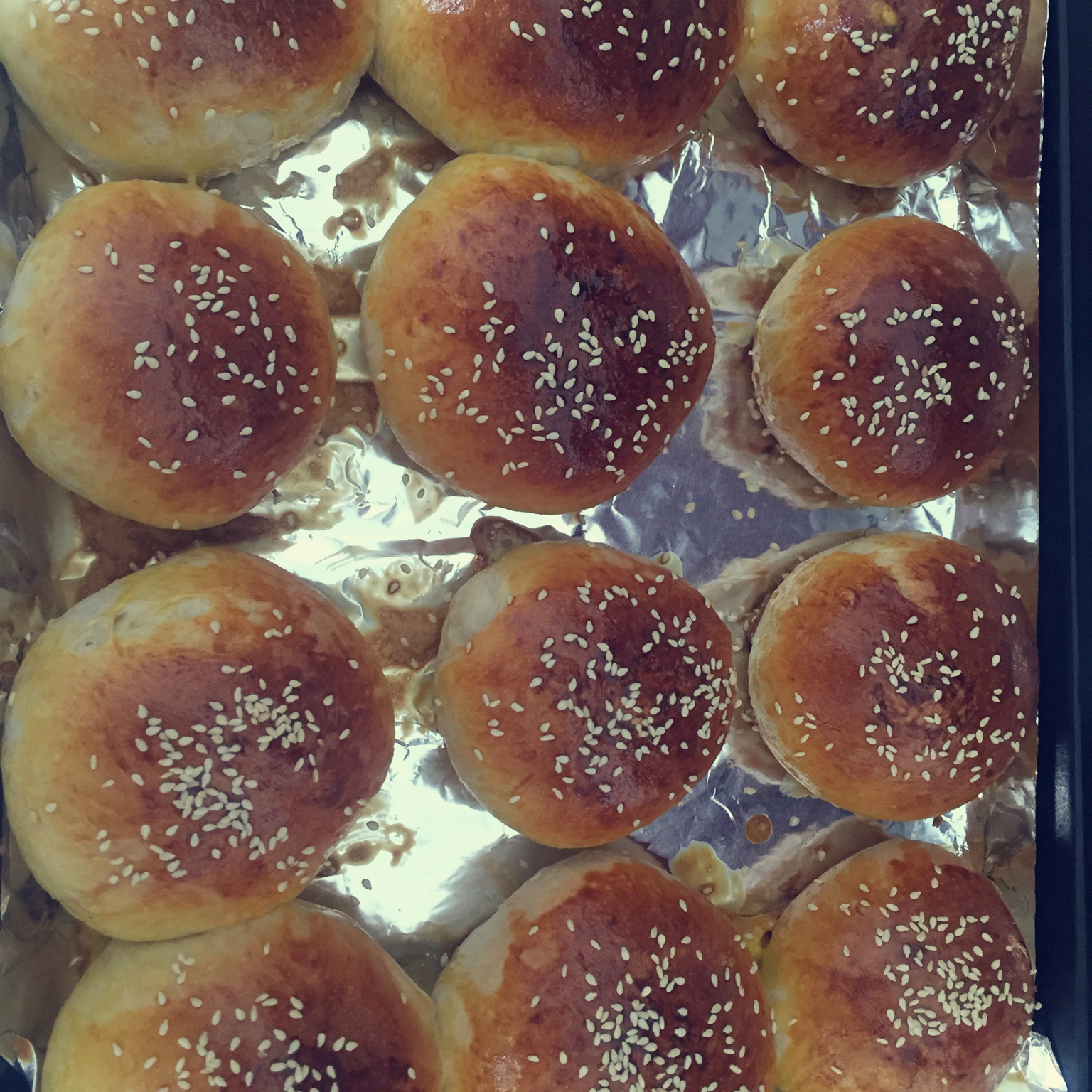 汉堡胚（中种法）