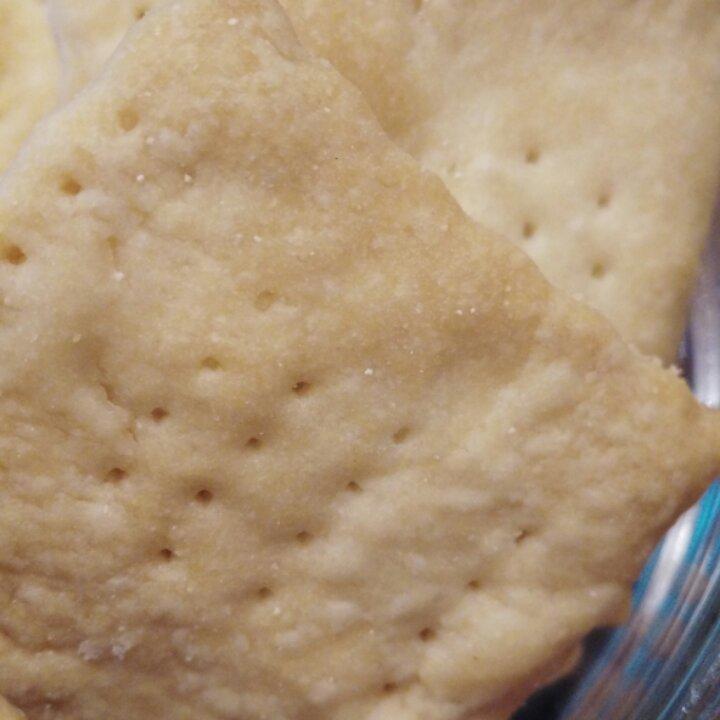 高钙奶盐苏打饼干