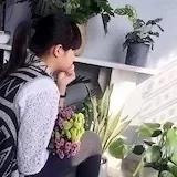 璐妈的小厨房