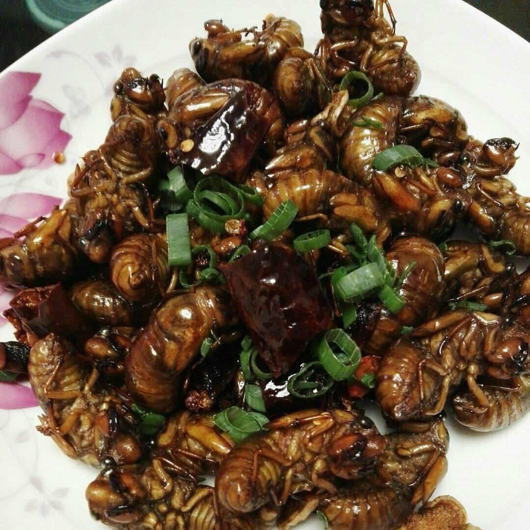 爱上厨房-紫竹做的爆炒金蝉