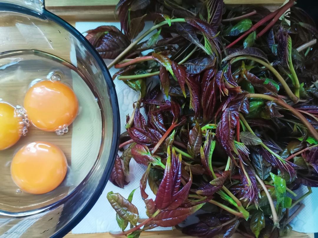 春天的味道之香椿炒鸡蛋