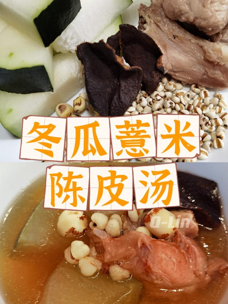 冬瓜薏米陈皮汤（祛湿减脂）的做法