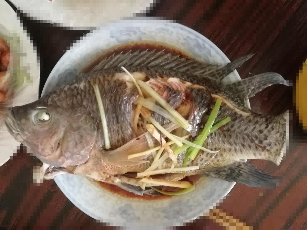 清蒸罗非鱼