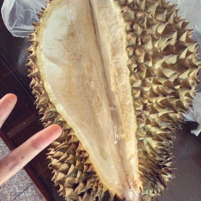 榴莲重芝士蛋糕