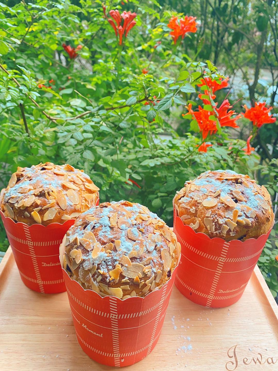 圣诞面包--潘娜托尼Panettone