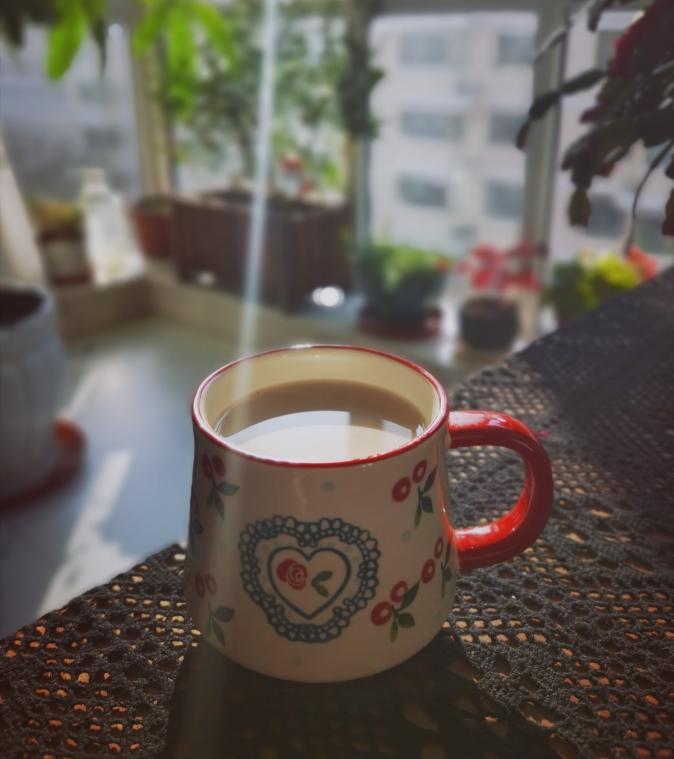 家庭版香滑奶茶（爱乐甜零卡糖）的做法