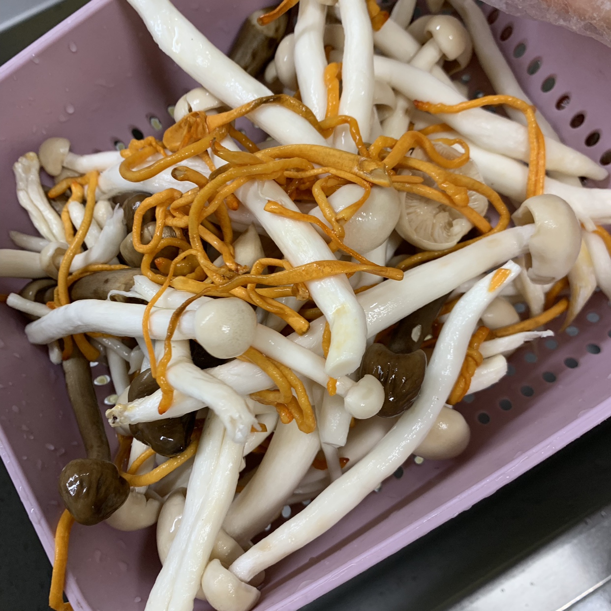 煲汤-菌菇枸杞红枣乌鸡汤的做法 步骤3