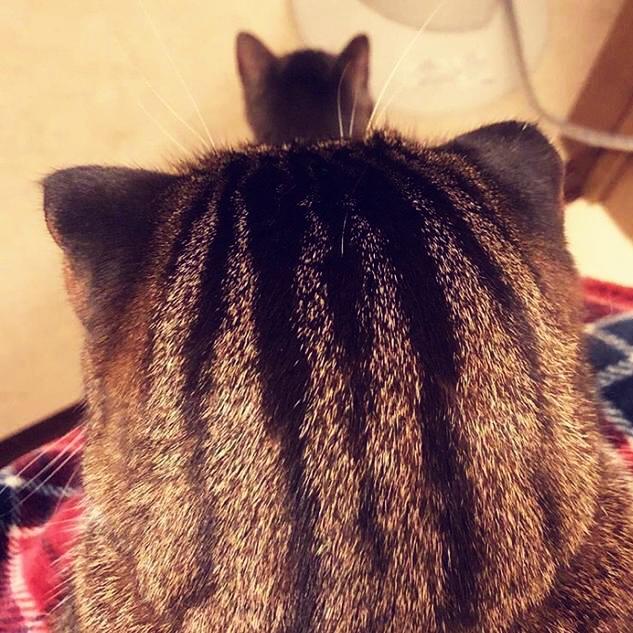 糖果色飞机