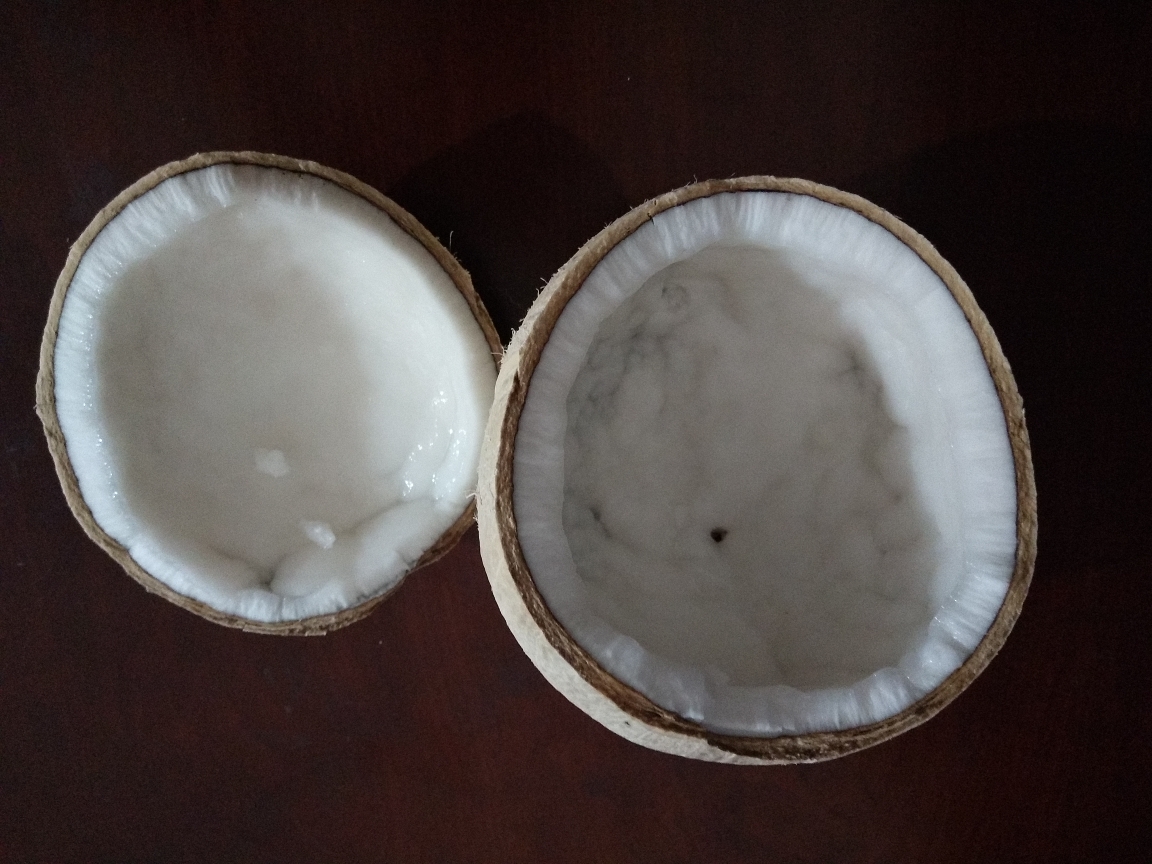 ⚠️各种开椰子❎取椰肉的方法（详细）的做法 步骤6