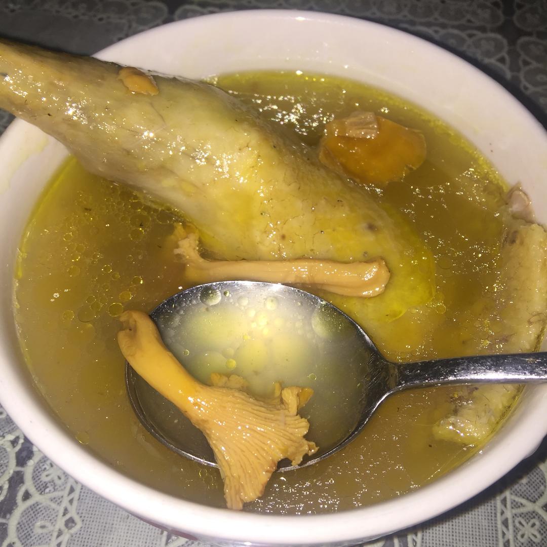 灵芝野山蕈油鸡汤