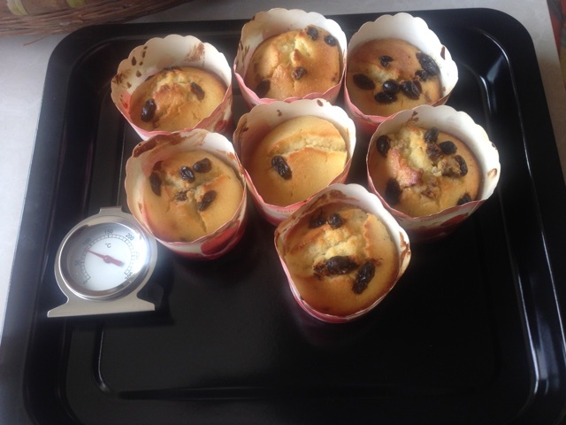 0失败的葡萄干麦芬