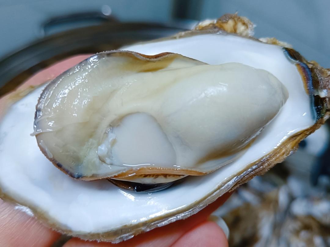 原汁生蚝的做法