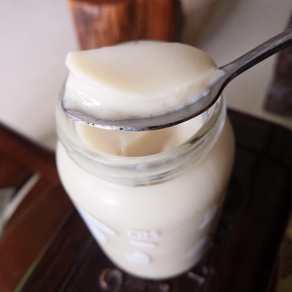 桃胶皂角米牛奶炖雪燕