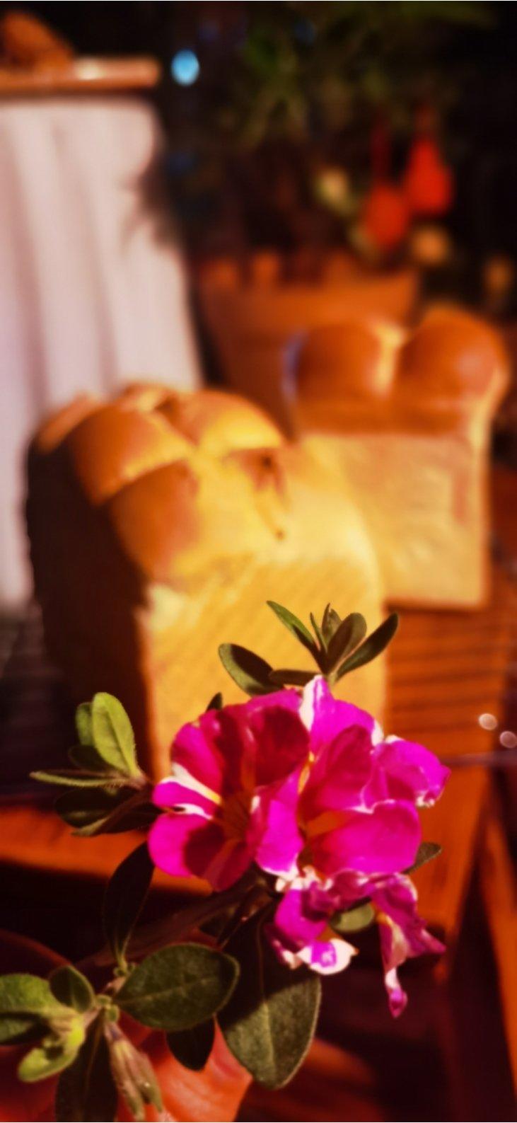 白色恋人小面包