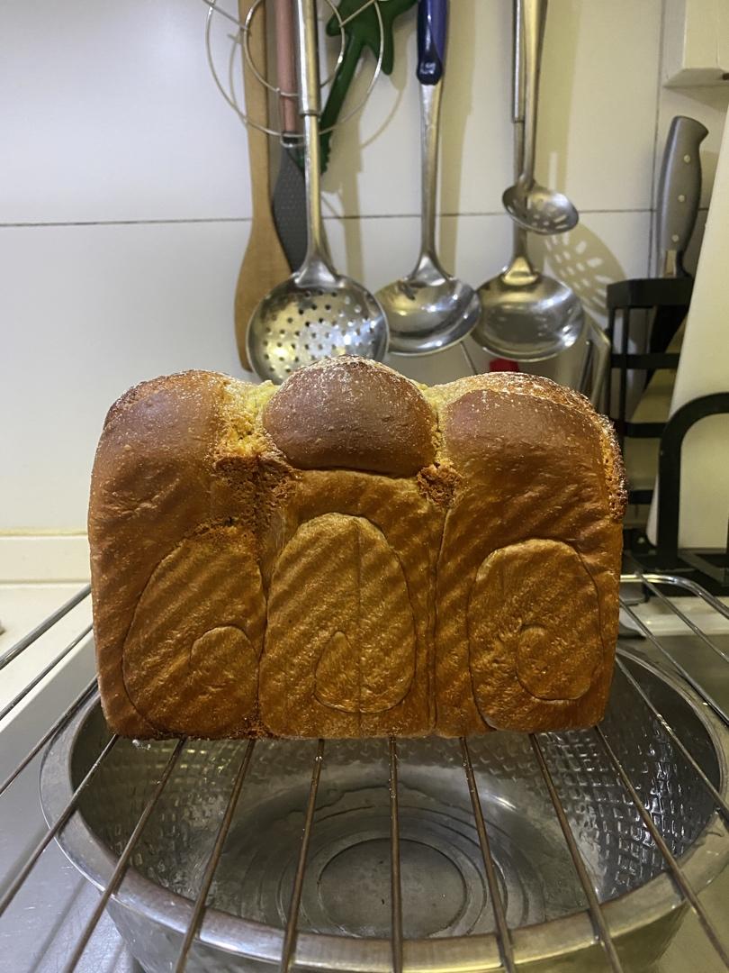 咖啡吐司～17小时冷藏中种