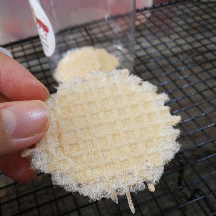 果蔬脆片