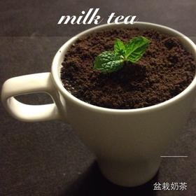 盆栽奶茶