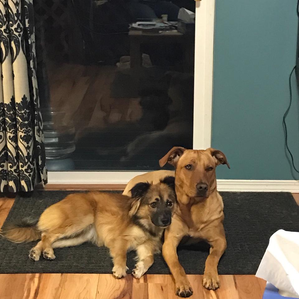 手机用户2335_pna5