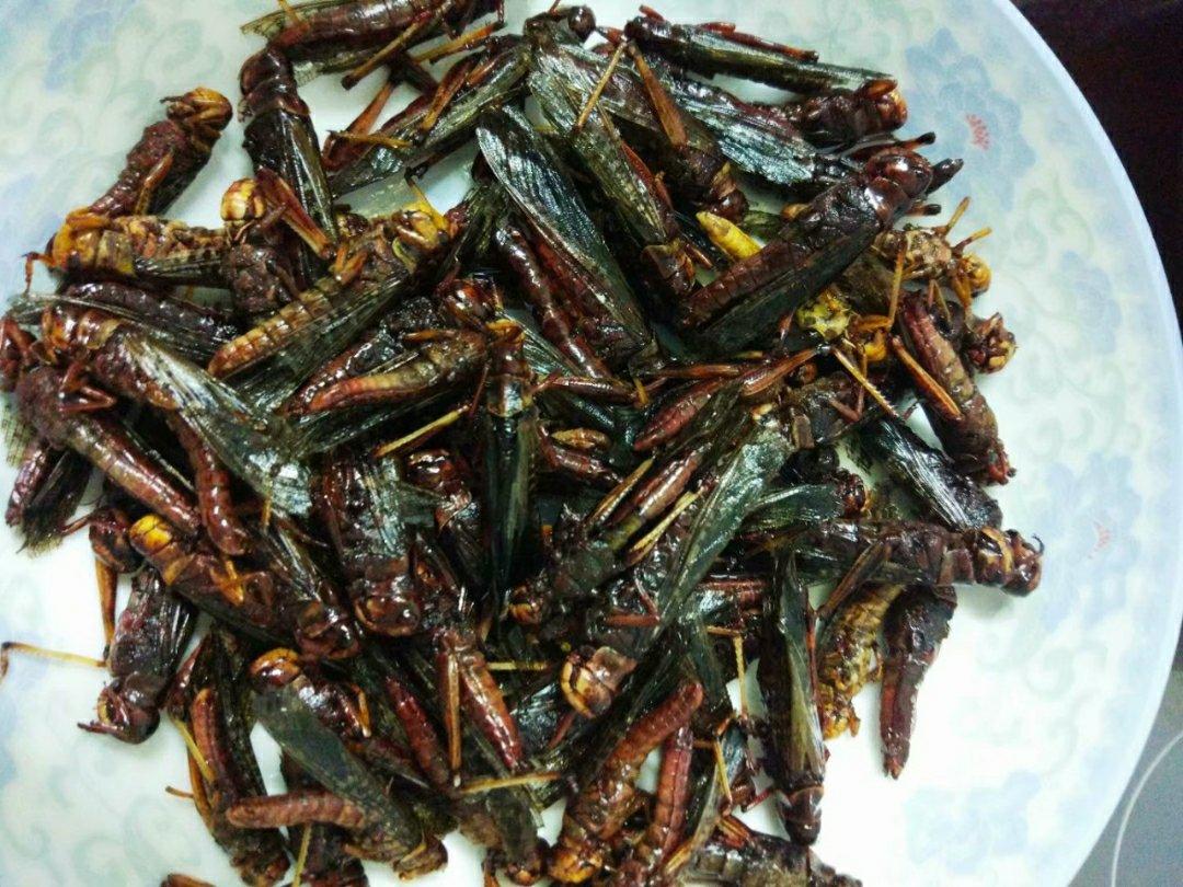 油炸蚂蚱