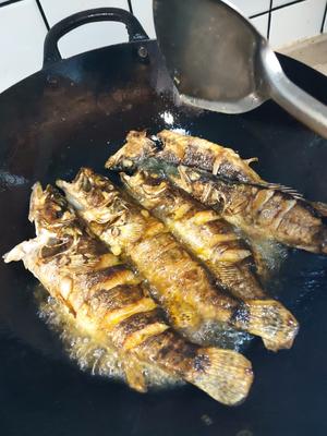 干锅红烧鳜鱼的做法 步骤5