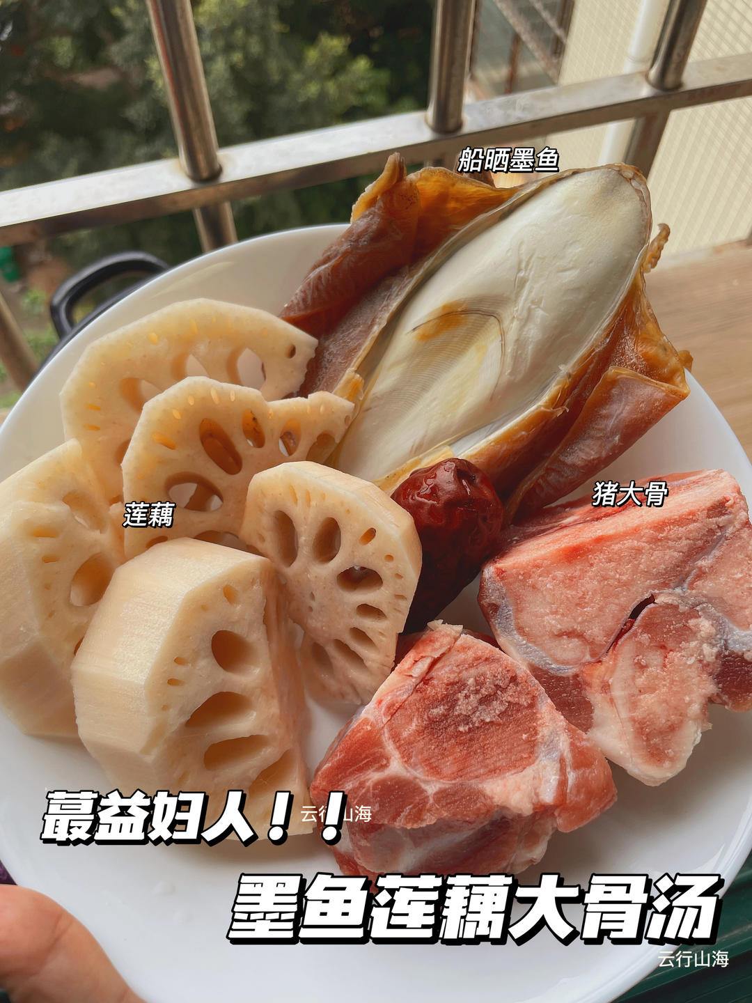 蕞益妇人！♥️墨鱼莲藕大骨汤！的做法