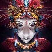 文刂孟加拉大猫女圭